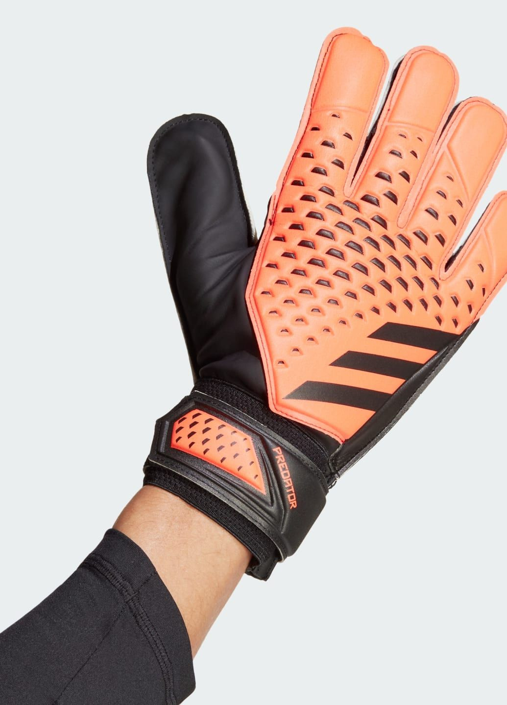 Воротарські тренувальні рукавички Predator adidas (289060013)