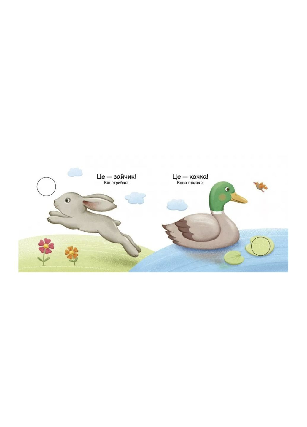 Моя книжка-раскладушка - Кто что умеет? цвет разноцветный ЦБ-00274833 РАНОК (324561033)