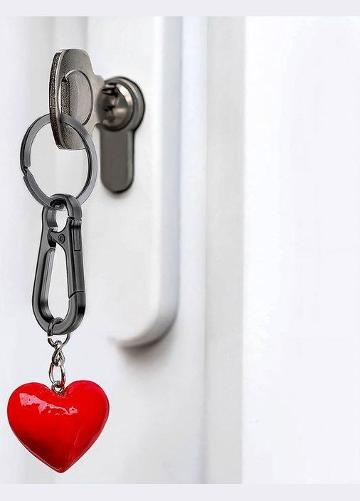 Брелок-карабин металлический держатель для ключей аксессуаров. No Brand (345701653)