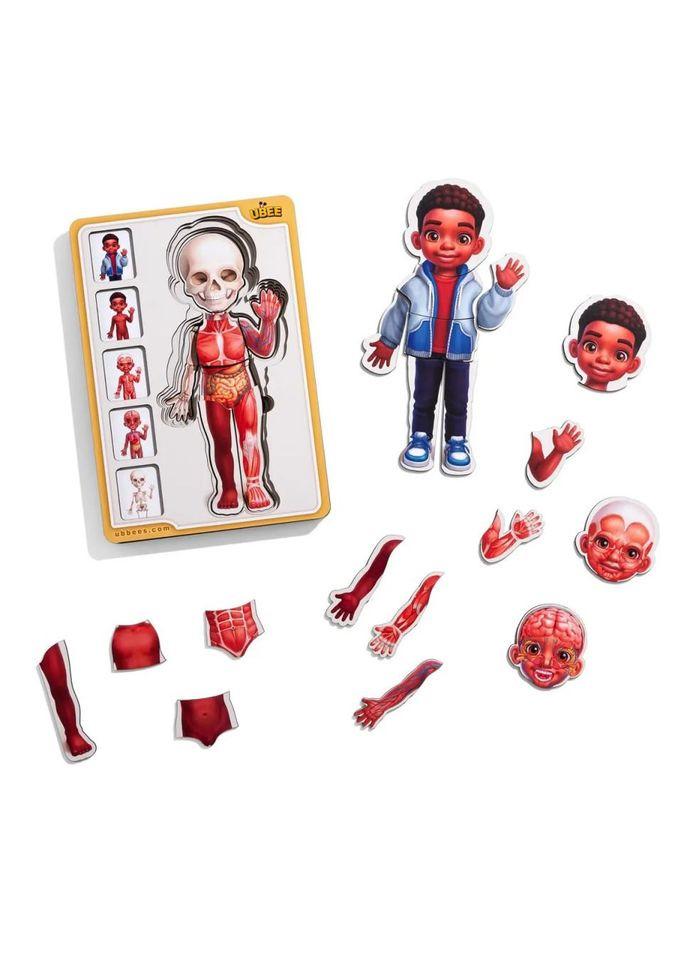 Деревянный пазл-вкладыш "Анатомия человека - мальчик-3" (ПСД262) PSD262 строение тела Ubumblebees (372495688)