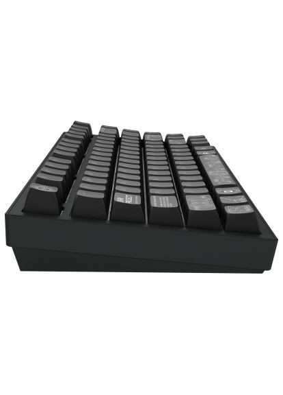Клавіатура (DPKB_NOVA_81_ANSI_BLACK_UA) Dark Project ALU81 Terra Nova PBT RGB Mech G3MS Moonstone Black (366153549)