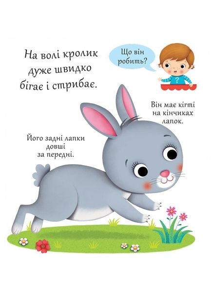 Кролики - Белино Н. Видавництво "Навчальна Книга-Богдан" 978-966-10-5139-2 (336329673)