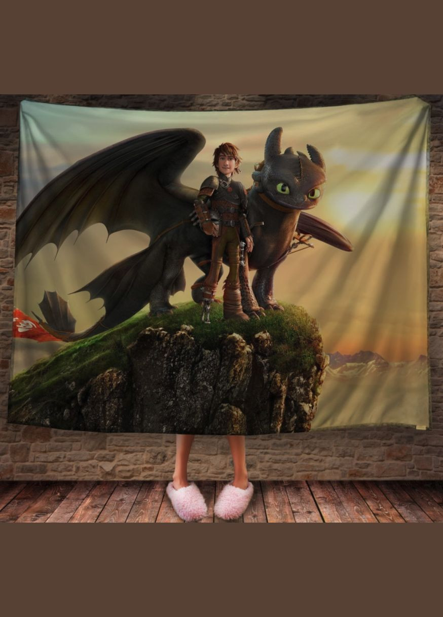 Плед з 3D принтом How to Train Your Dragon Всі герої серіалу Перша Креативна мануфактура PERFECTUS Плед (301868871)