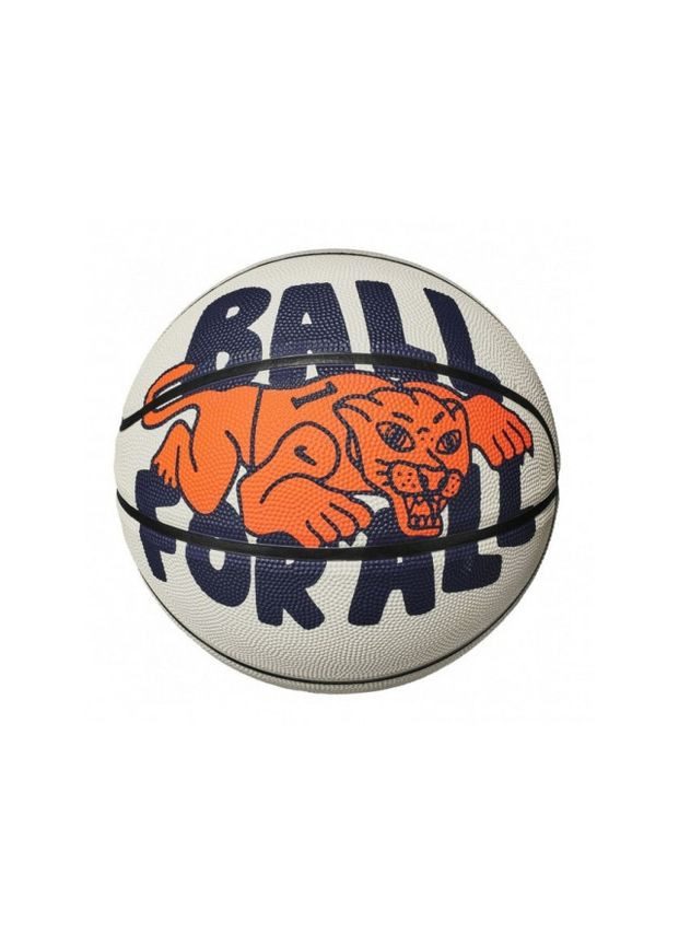 Баскетбольный мяч Everyday (размер 7, белый) N.100.4371.063.07 Nike (369364513)