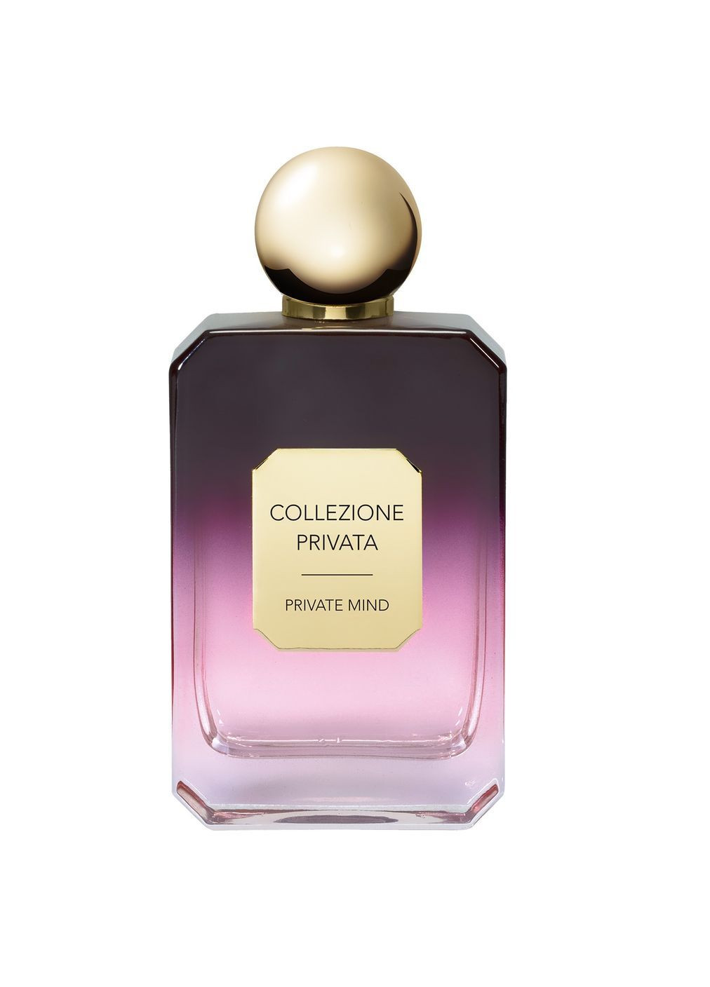 Парфумована вода Private Mind 100 мл (7612535520217) Storie Veneziane (370065434)
