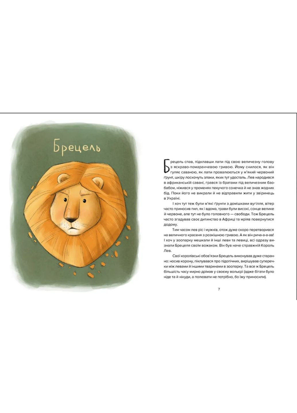 Книга Енот Ракета и другие герои Евгения Завалий (9789664481868) Видавництво Старого Лева (316084209)