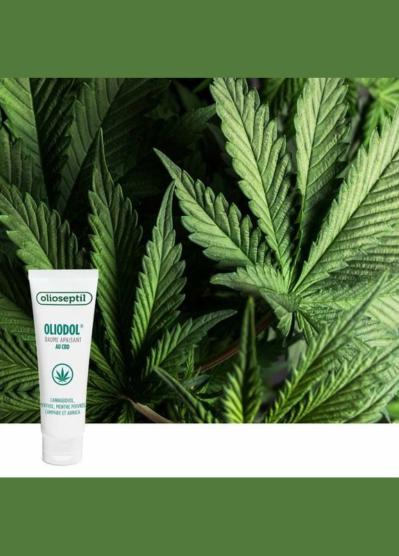 Бальзам Олиосептил Олиодол c CBD / OLIODOL - Снимает боль в мышцах спины, шеи, ног, 50 мл (OL31) Olioseptil (315765114)