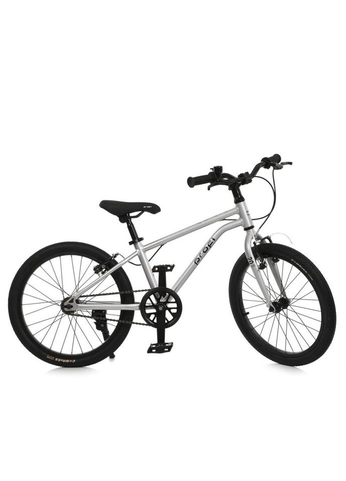 Велосипед детский LIGHTY MB 20LIGHTY SILVER, колеса 20 дюймов No Brand (339778203)