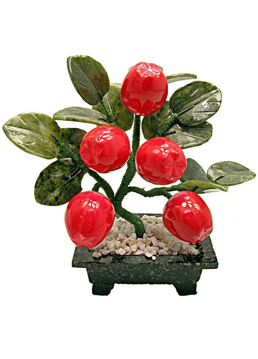 Яблоня (5 плодов) (20х13х8 см) No Brand (316718823)