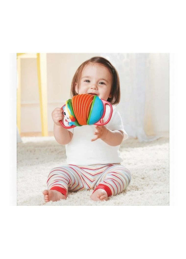 Аккордеон Ёж () Skip Hop 303252 (331790073)