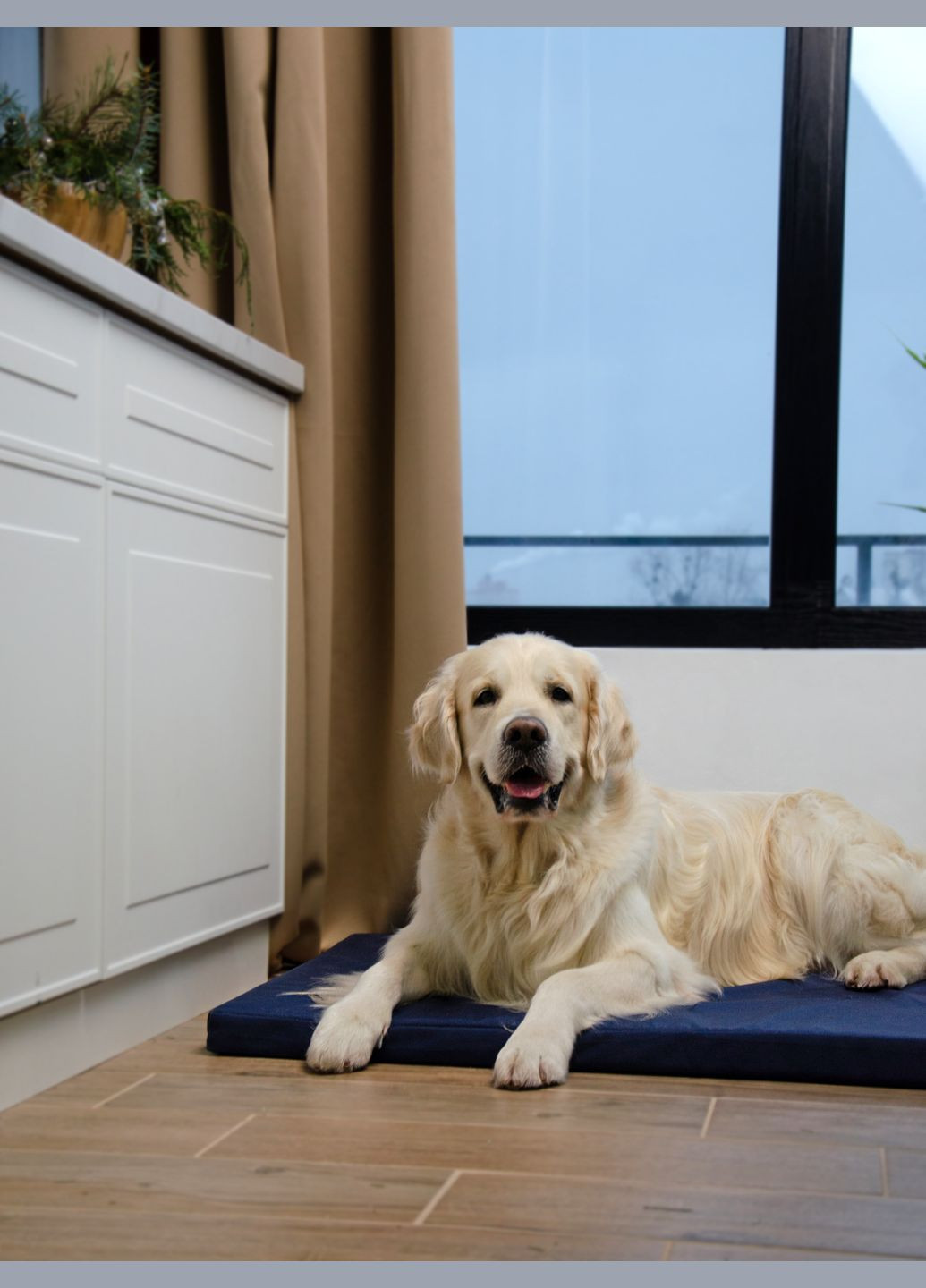 Матрац Харлей для собак та кішок №2 45 x 50 x 5 см Синій (4820224213057) Lucky Pet (279573501)