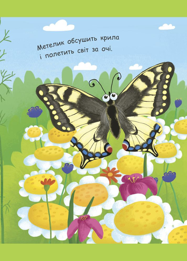 Моя перша енциклопедія. Як народжується метелик? РАНОК (316082807)