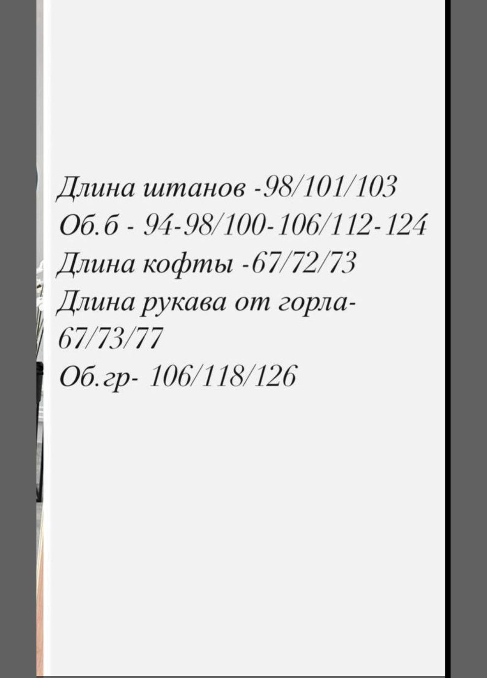 Крутящийся велюровый костюм Fashion (322710019)