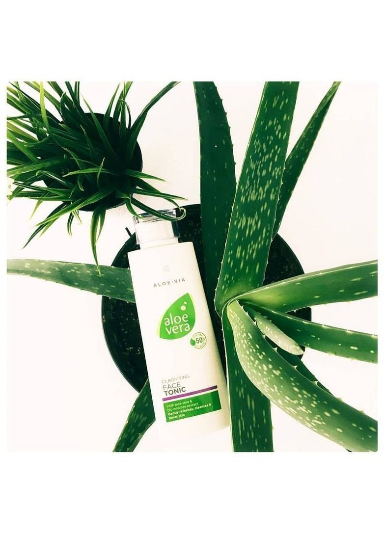 Очищающий тоник для лица Aloe Vera (ALOE VIA) Health & Beauty, 200 мл LR (349859238)