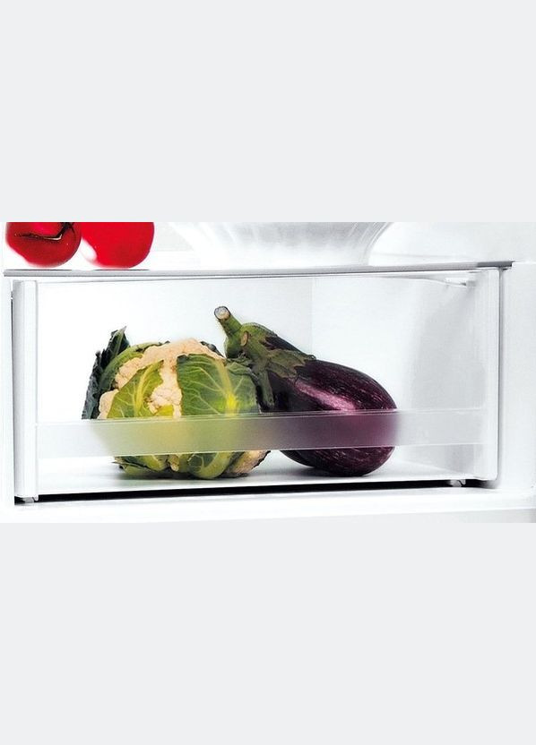 Холодильник LI8S1EW Indesit (278366117)