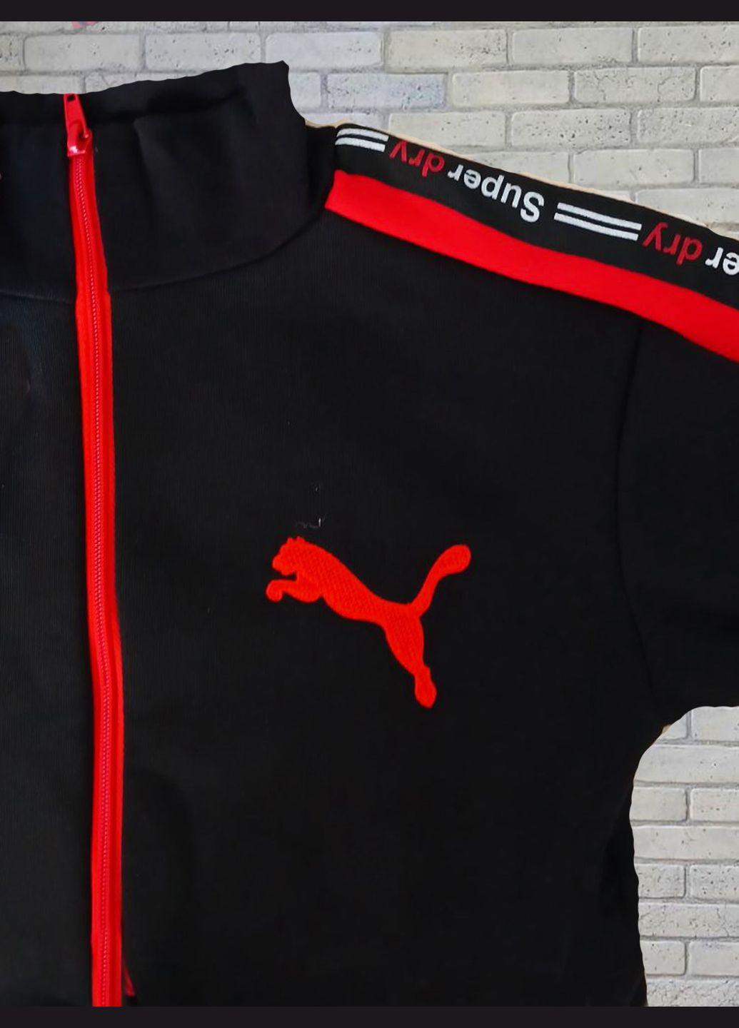 Теплый детский спортивный костюм со вставкой, трехнитка No Brand (317707938)