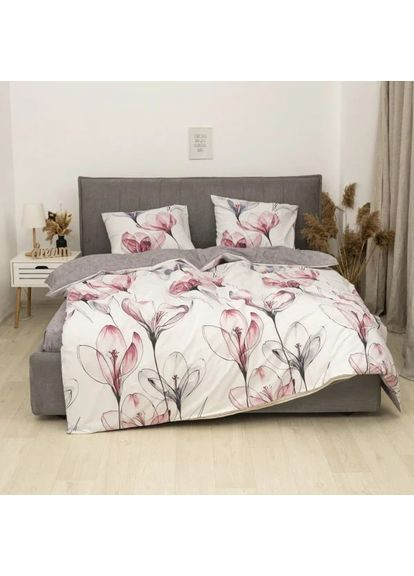 Комплект постільної білизни сімейний ранфорс 24325 100% бавовна Viluta (365301574)