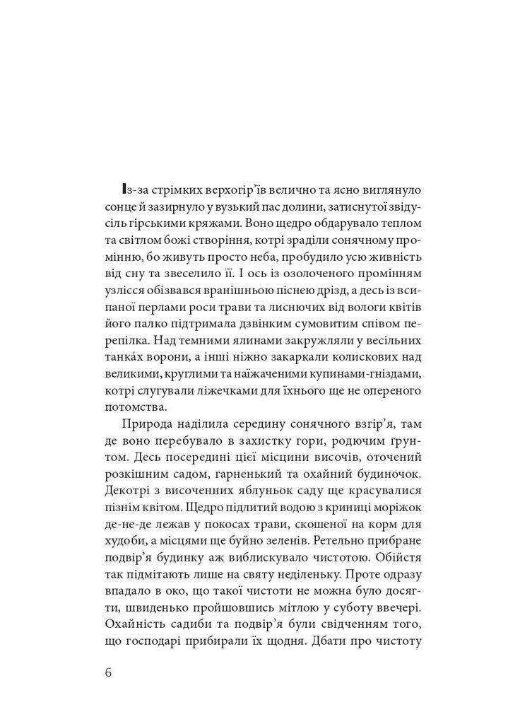 Чорний павук Навчальна книга - Богдан (370105034)