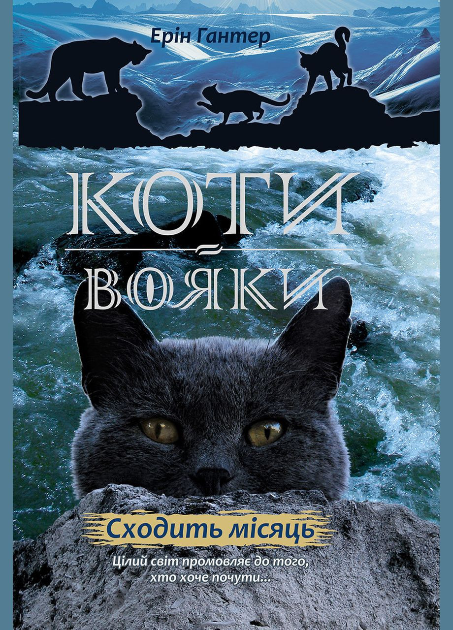 Котывоины. Комплект 6 книг. Цикл 2. Новое пророчество (на украинском языке) АССА (273238361)