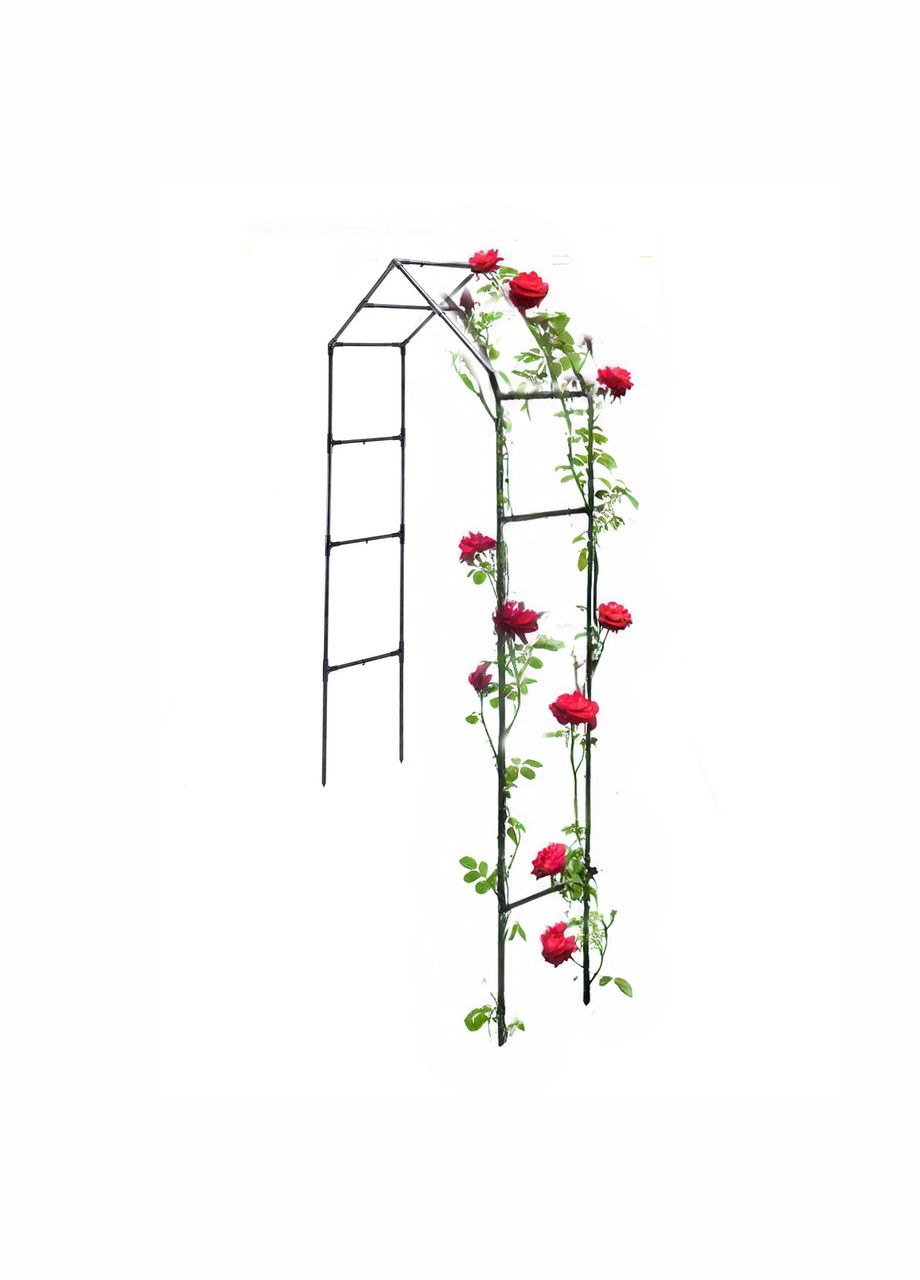 Садовая Арка для плетеных растений Bonita, стальная, разборная, черная 232*132*34 см Broody (300778500)