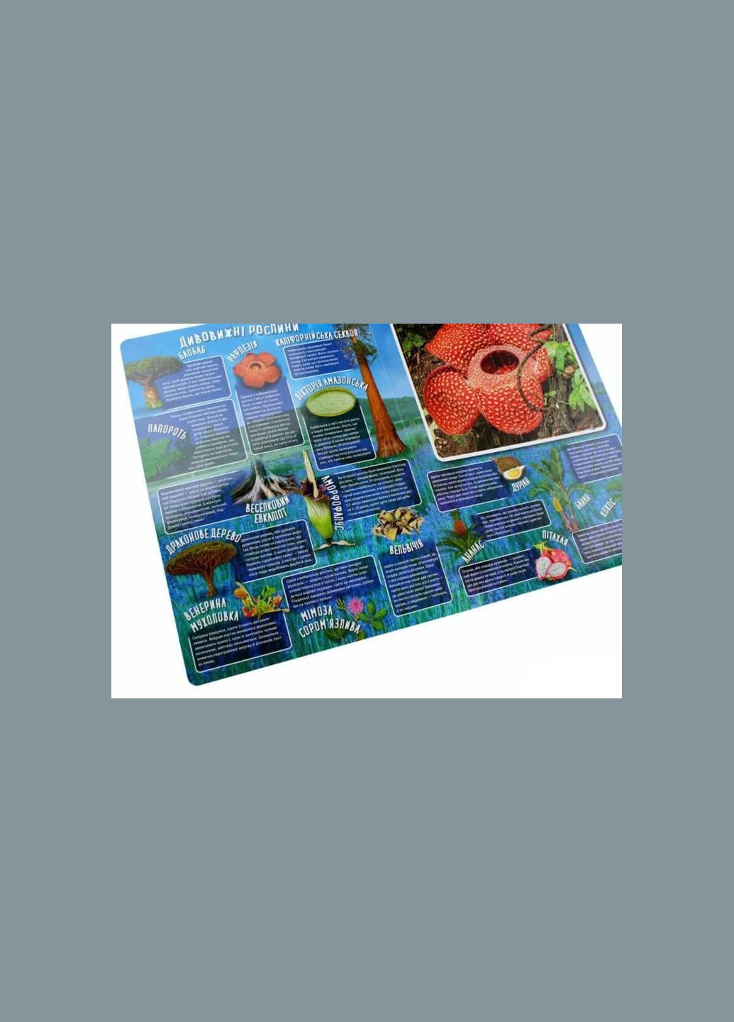 Книга для дітей Книга ПАЗЛ. Дивовижний світ Жученко М.С. Vivat (335209847)