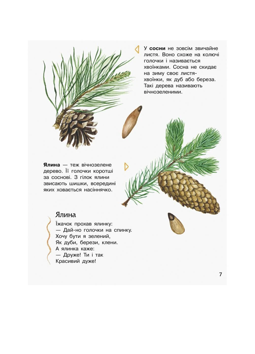 Энциклопедия дошкольника цвет разноцветный ЦБ-00261575 РАНОК (400560458)