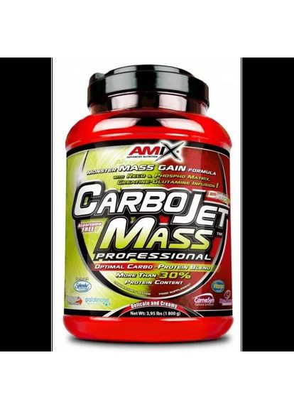 CarboJet Gain Mass Professional - 1800г - forest fruits Amix (362971557)