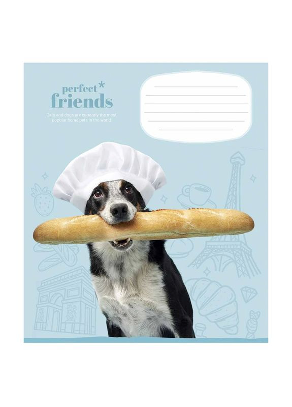 Зошит учнівський Perfect friends 012-3250C 12 арк. (482000647045603250)(SC) shop (482000647045603250) Школярик (337404353)