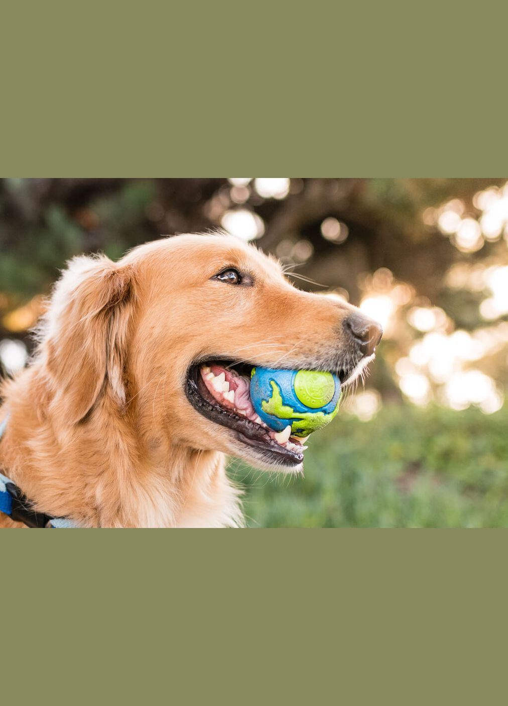 Игрушка для собак Planet Dog Orbee Ball 5.5 см (pd68669) Outward Hound (315517696)