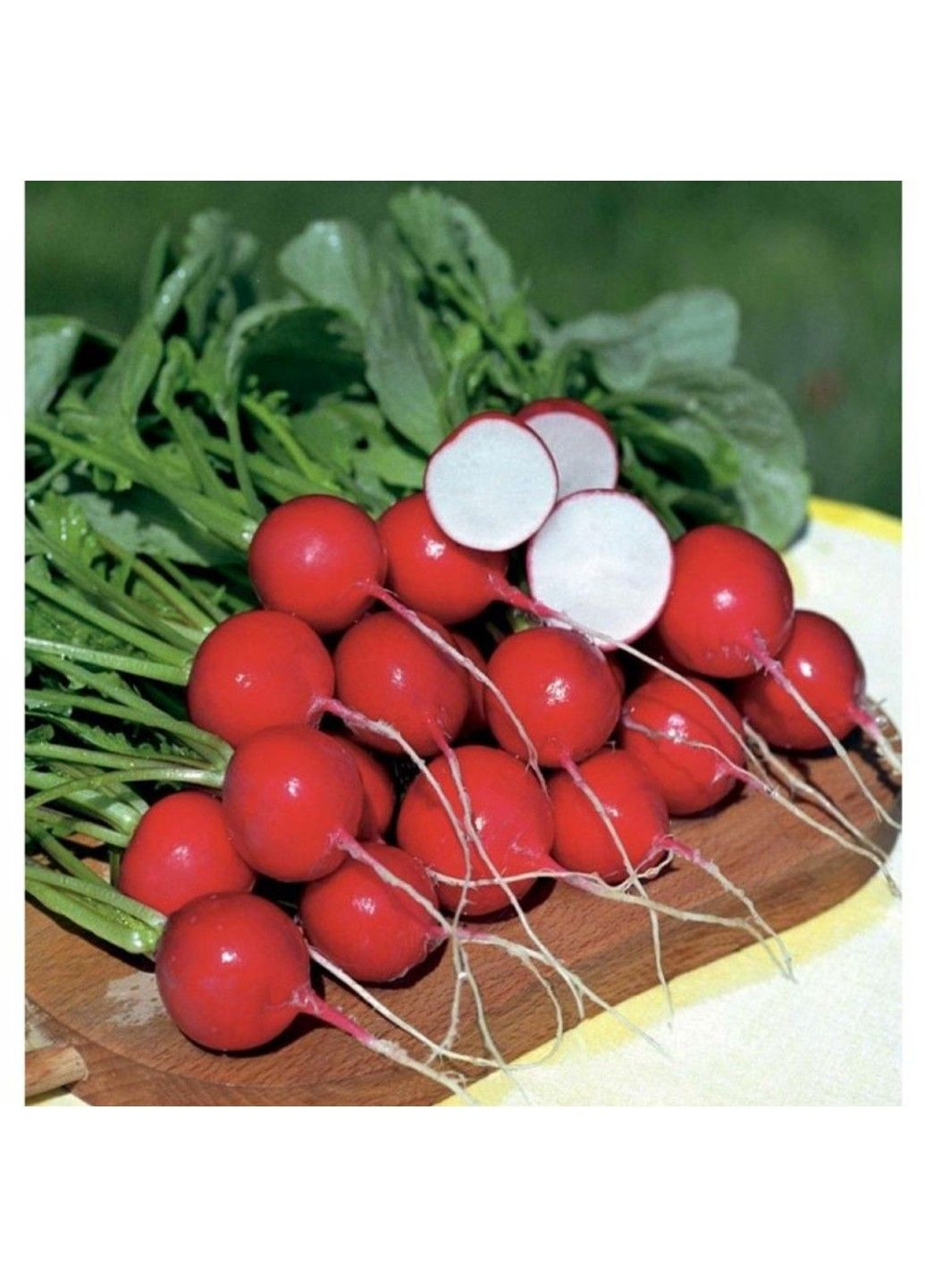 Насіння редиски Рудольф Bejo Zaden (333036025)