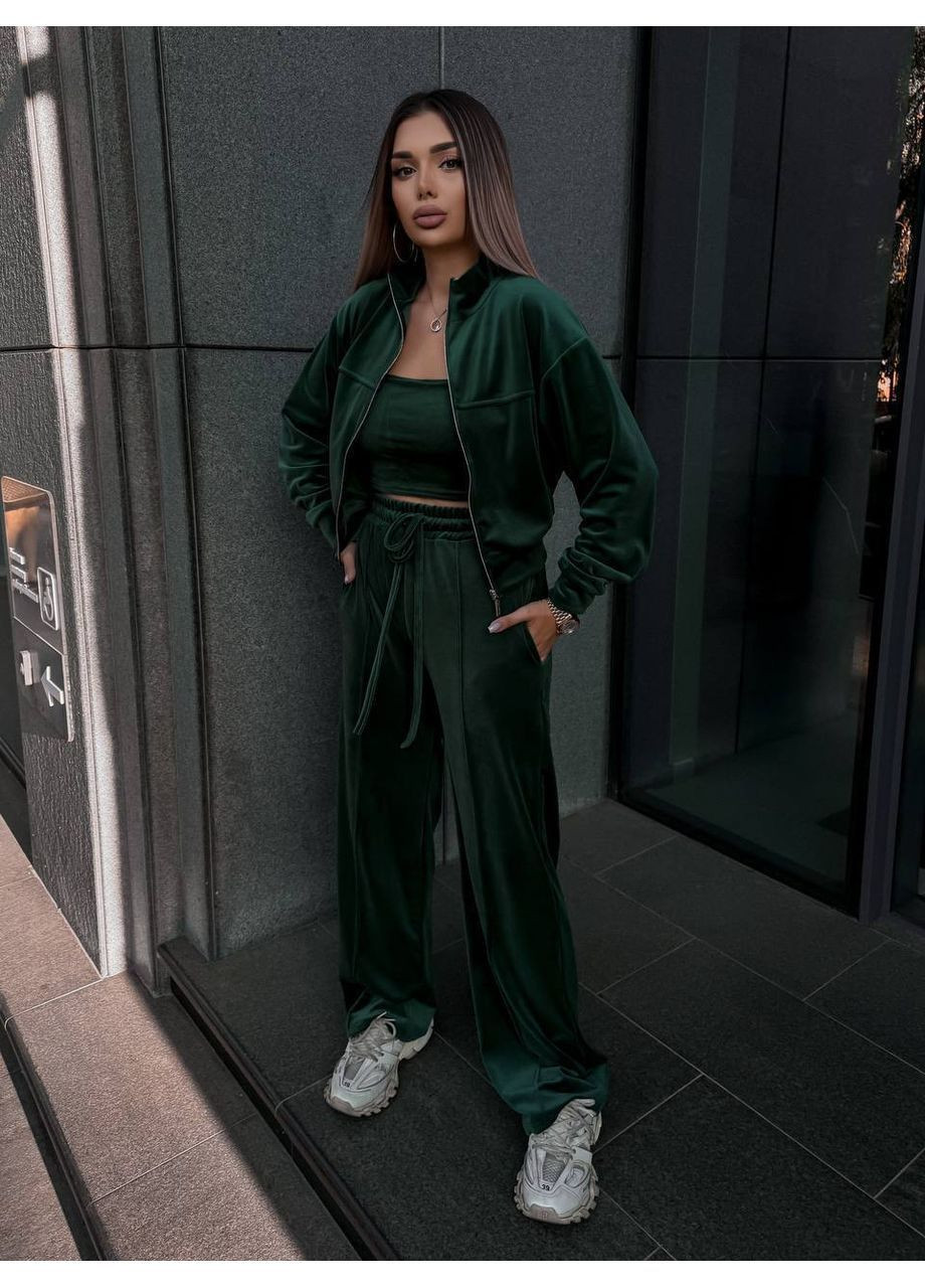 Трендовий велюровий костюм двійка No Brand (363969615)