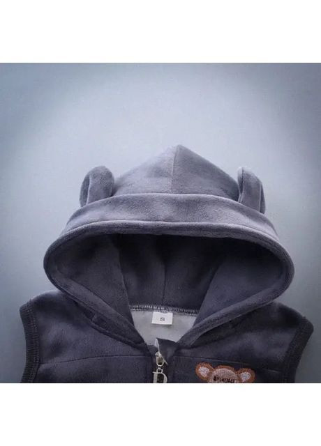 Серый демисезонный детский костюм «bear&rabbit whiskers plus» тройка No Brand