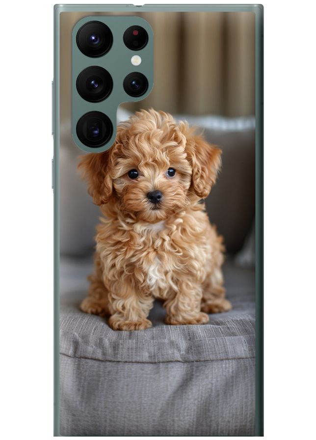 Силиконовый чехол 'Mini-maltipoo' для Endorphone Samsung Galaxy S22 Ultra (297867939)
