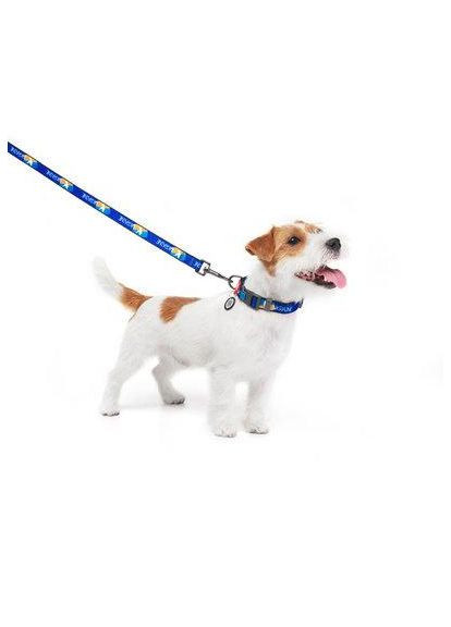 Ошейник для собак Waudog Nylon с QR-паспортом, рисунок Флаг Collar (362136329)