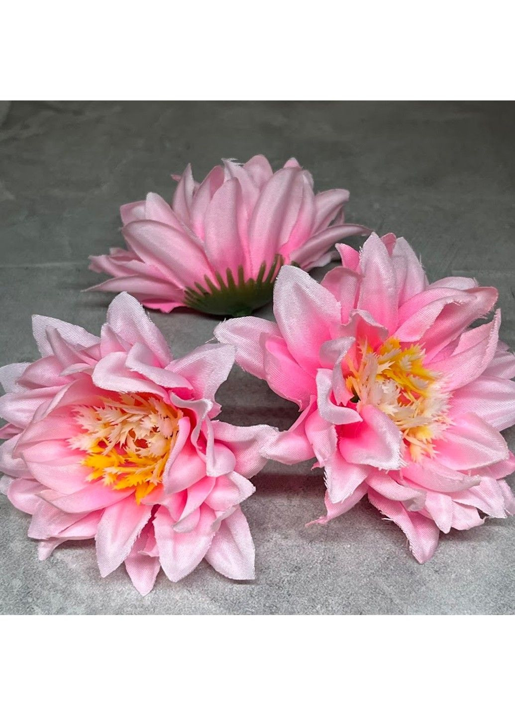 Бутон (голівка квітки) Жоржина 7 см, колір -рожевий, арт 017976, поштучно No Brand (324272190)