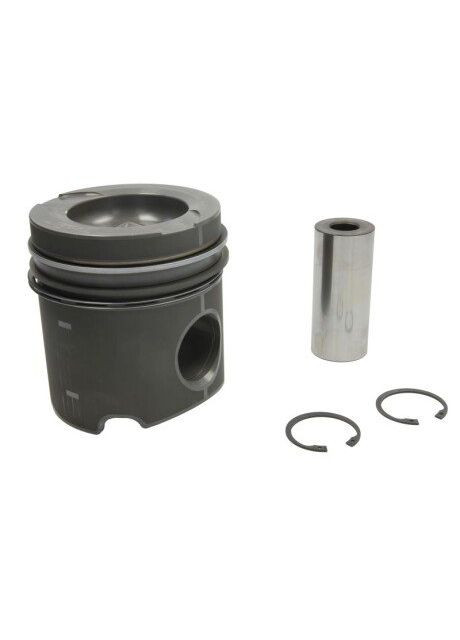 Поршень Nural (366300969)