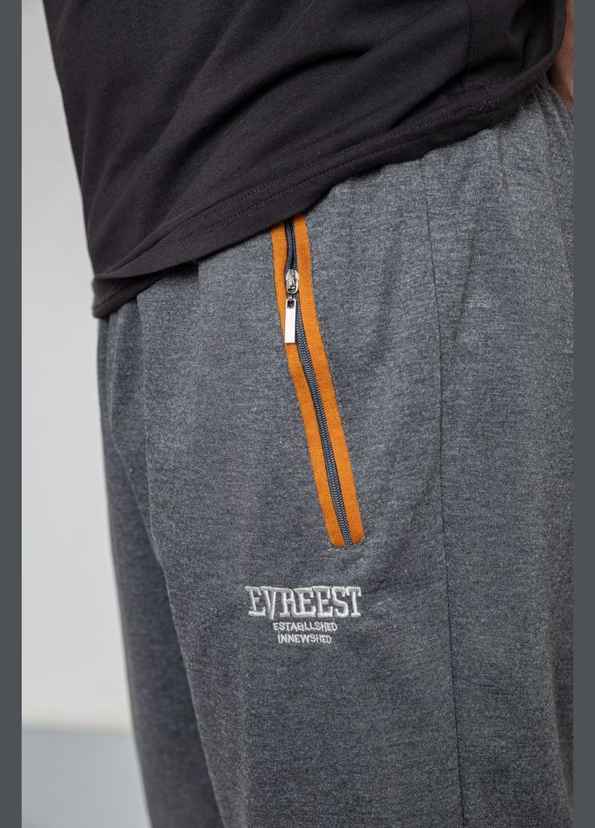 Темно-серые спортивные, кэжуал демисезонные брюки Ager