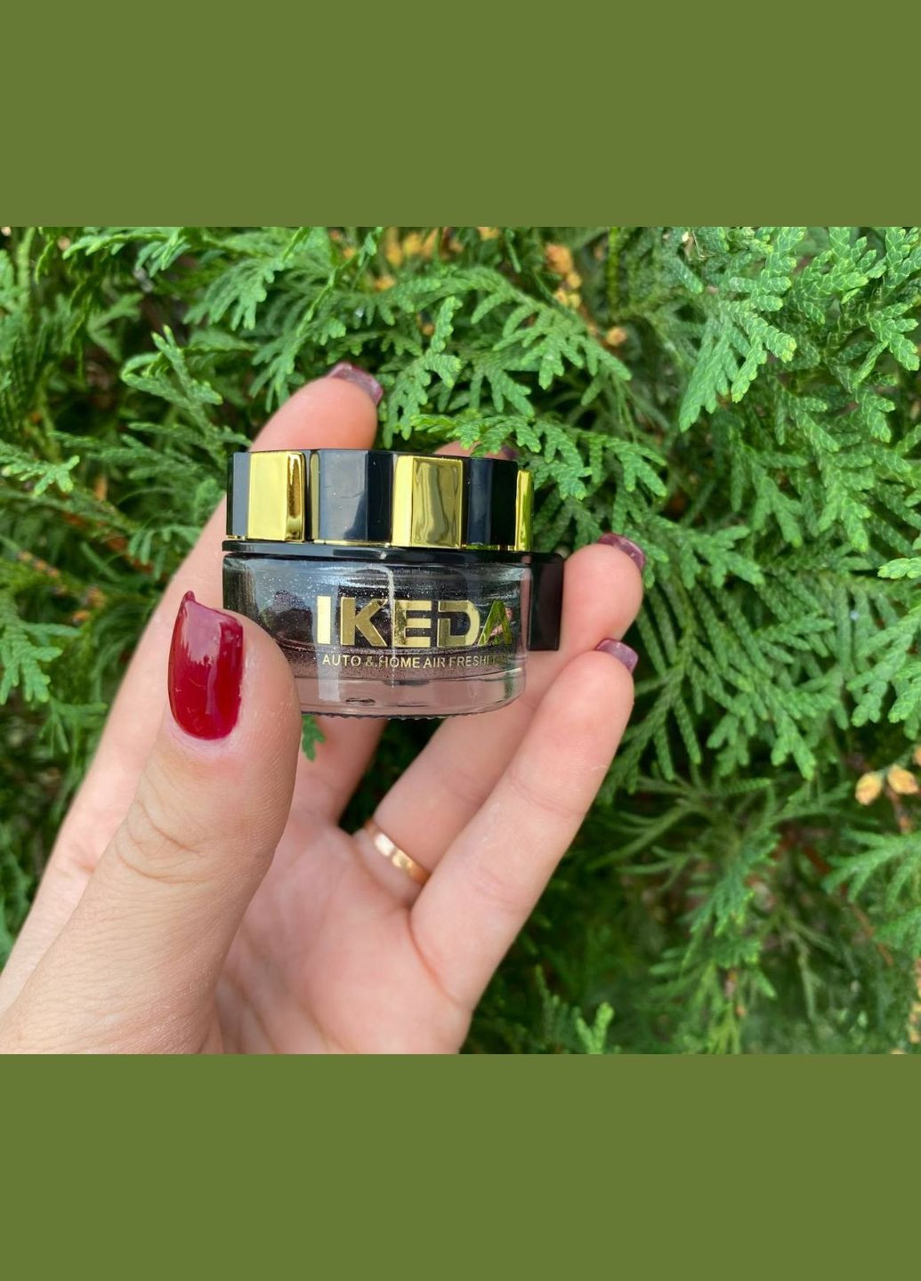 Ароматизатор для авто IKEDA Secret Musk Освежитель воздуха 2шт - Ароматизаторы No Brand (342369319)