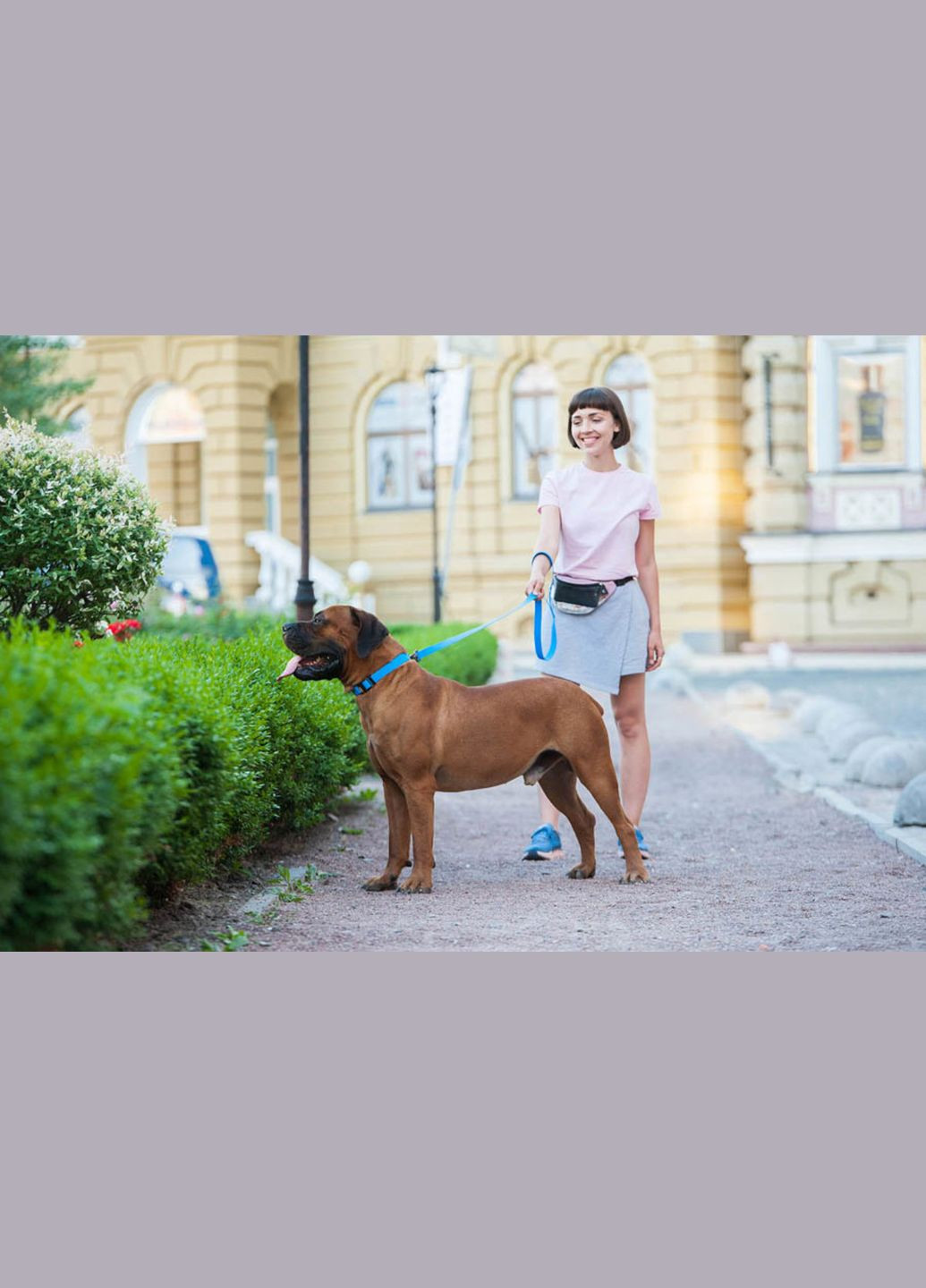 Повідець для собак водостійкий Waterproof Ш 20 мм Д 183 см Блакитний WAUDOG (279567815)