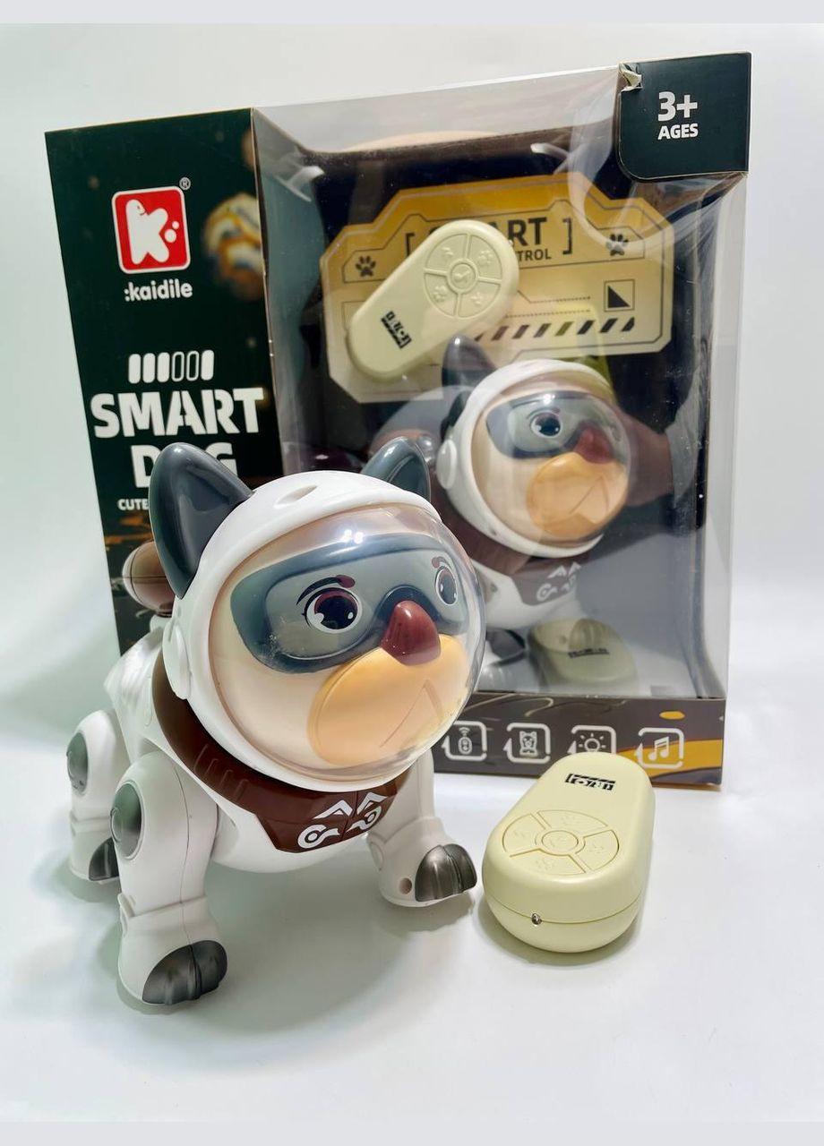 Собачка на радіокеруванні озвучення англ мовою, мелодії, цікаві факти, підсвічування No Brand (316472422)