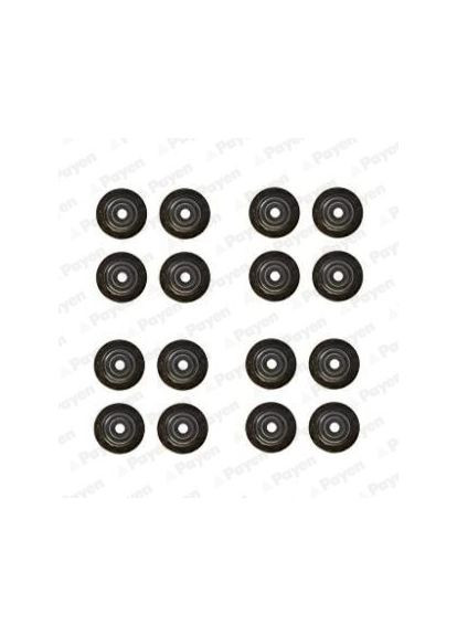 Комплект сальників клапанів IN/EX (SET) CHEVROLET AVEO/SPARK 1.0/1.2 B10D1/B12D1/LMU/B12D1 (16PCS) 08- HR5125-ua Payen (367040465)