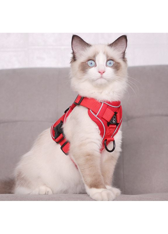 Шлейка та повідець для собак і кішок No Brand (362136173)