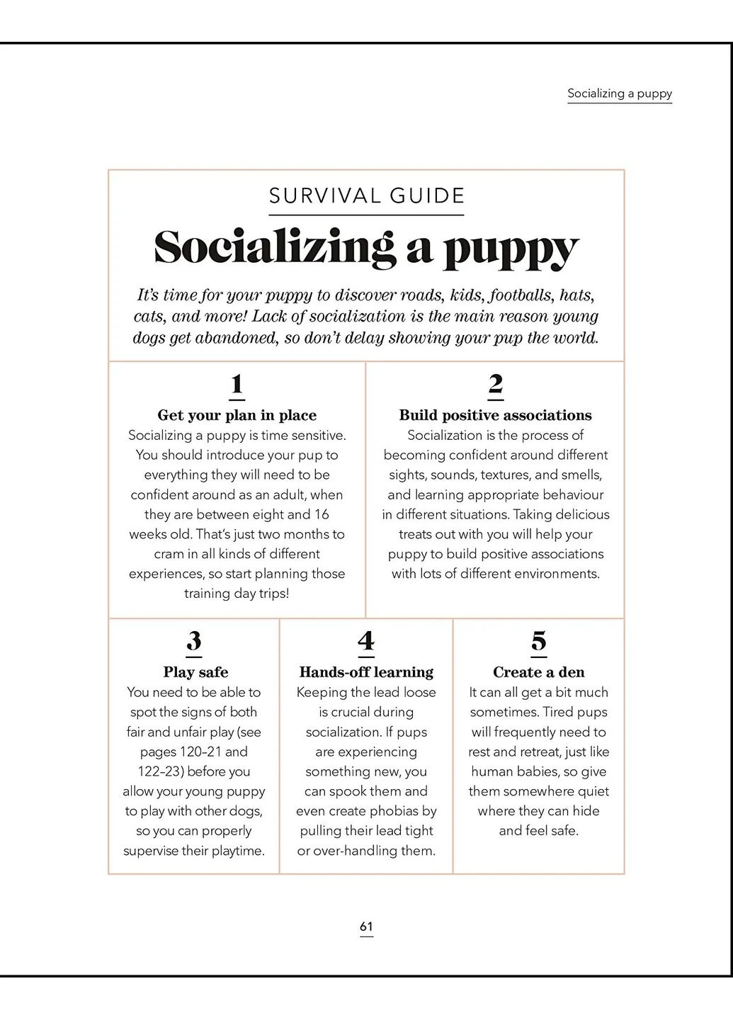 What's My Dog Thinking? Understand Your Dog to Give Them a Happy Life Dorling Kindersley (370391499)