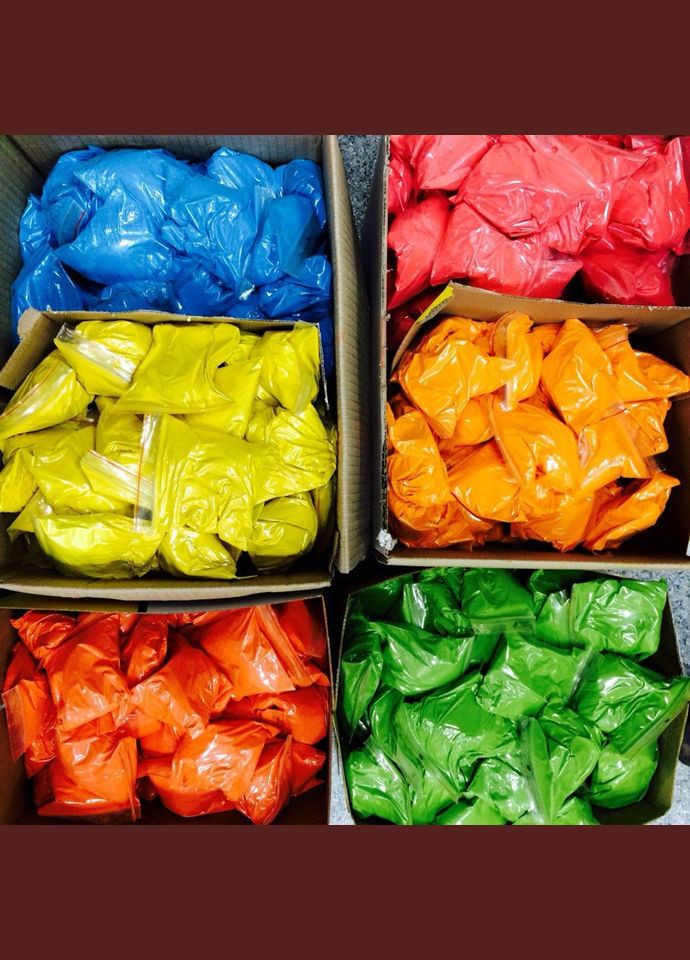 Краска Холи Holi Fest набор 200 пакетов пакеты 50 грамм 10 цветов No Brand (331738705)