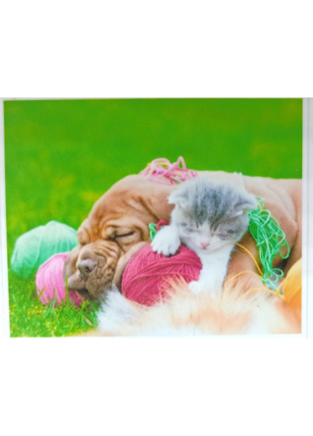 Алмазна вишивка "Милий щеня та кошеня" любов дружба повна викладка мозаїка 5d набори 30х40 см No Brand (332207695)