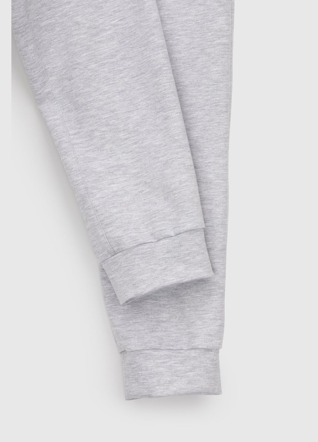 Брюки спортивные 2210 Серый (2000989186403D) shop (2000989186403) No Brand (254474809)