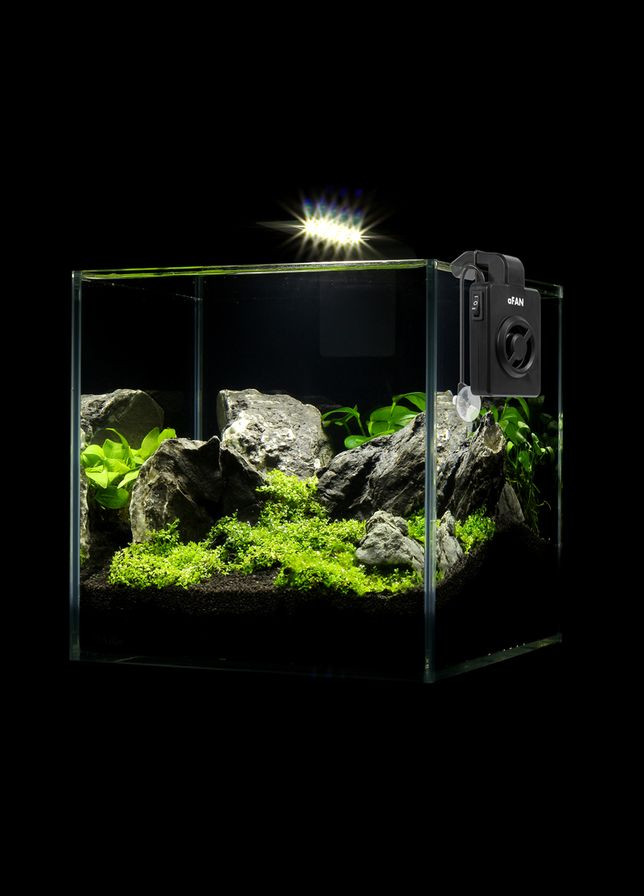 Вентилятор aFAN для охлаждения аквариумов объемом до 100 л. AquaLighter (322002186)