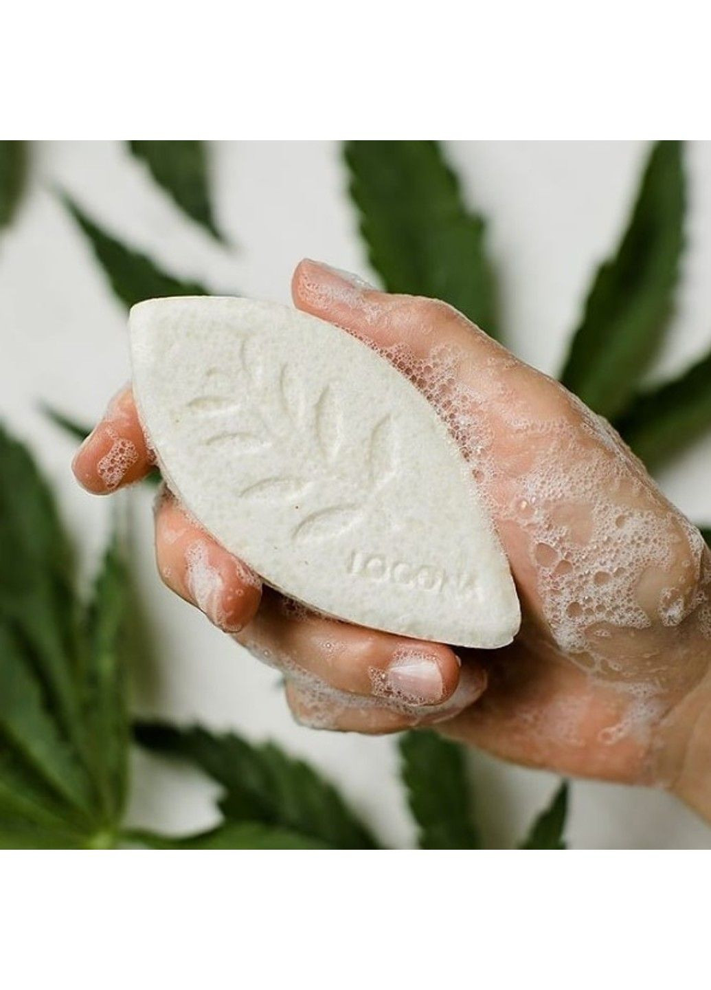 БІО-Шампунь твердий для блиску та прискорення росту волосся Конопля та Бузина 60 г Logona (298055755)