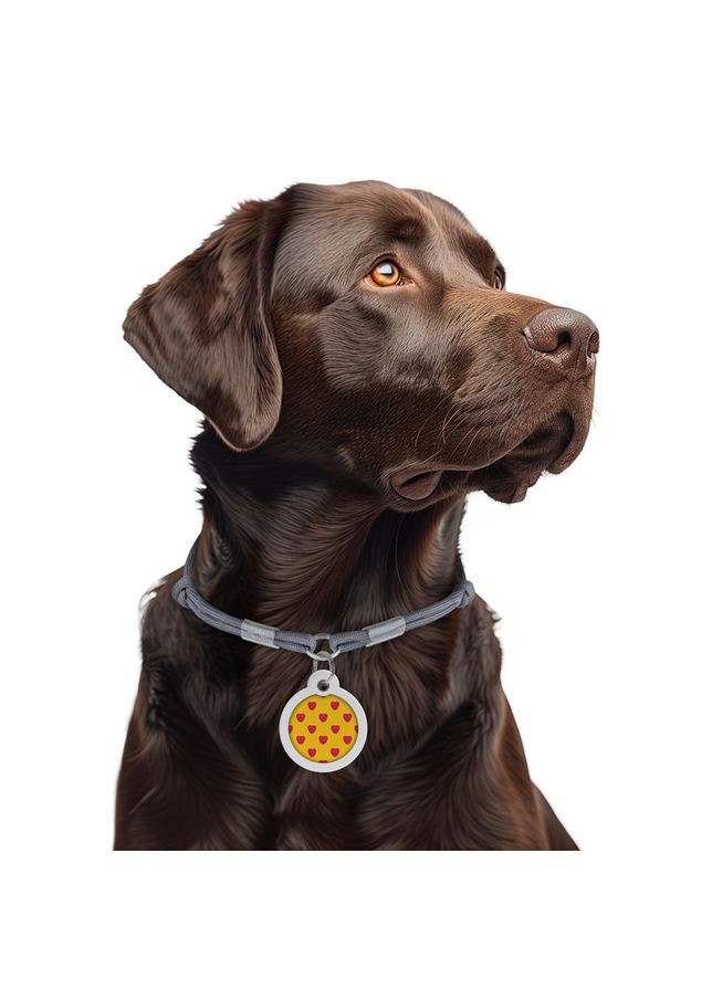 Шнурок из паракорда для адресника Smart ID, светоотражающий, размер, диаметр 4 мм, длина 42-76 см, серебряный WAUDOG (363199576)