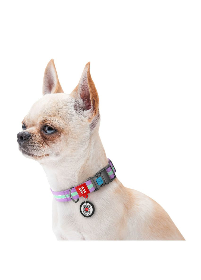 Ошейник для собак нейлоновый Nylon светящийся/светоотражающий пластиковый фастекс Ш 25 мм Дл 35-58 см WAUDOG (279566604)